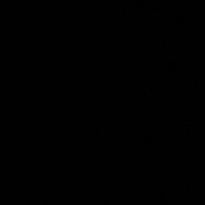 Meet your Posher, Nadine